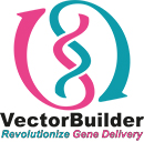 Logo Vector Builder